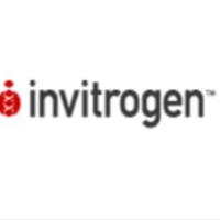 Puromycin (solution)/嘌呤霉素