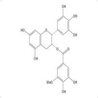 3''-O-甲基表没食子儿茶素没食子酸酯83104-87-4