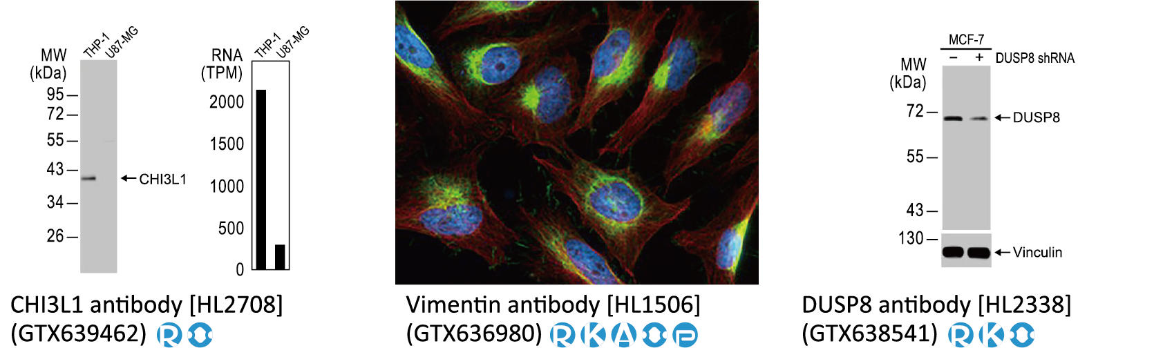 六码一抗 不分包装~全面EXTRA 5% OFF! 六码一抗 不分包装~全面EXTRA 5% OFF!