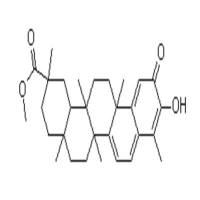 扁塑藤素1258-84-0