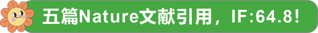 清爽春夏，欣意相赠