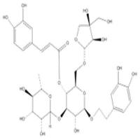 连翘酯苷B81525-13-5
