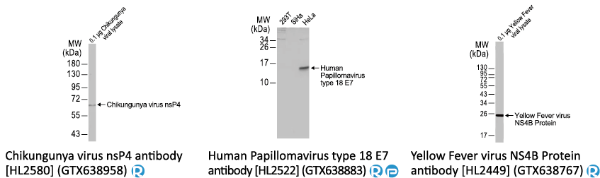 六码一抗 不分包装~全面EXTRA 5% OFF! 六码一抗 不分包装~全面EXTRA 5% OFF!
