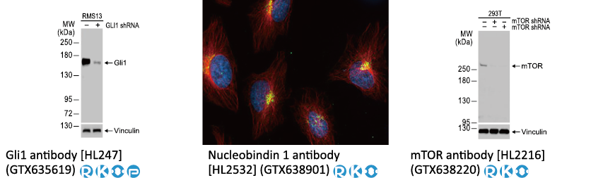 六码一抗 不分包装~全面EXTRA 5% OFF! 六码一抗 不分包装~全面EXTRA 5% OFF!