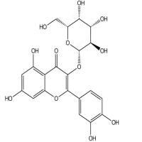 金丝桃苷482-36-0