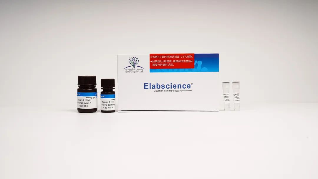 福利拉满 | 购全线流式抗体/细胞代谢检测试剂盒，享5倍积分