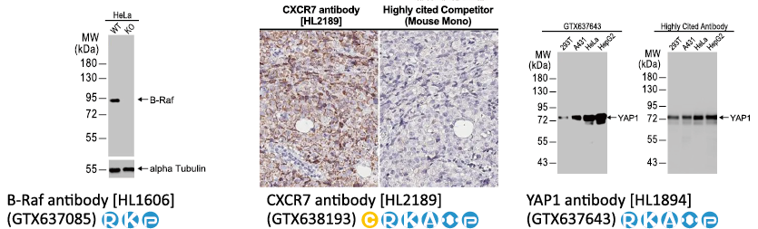 六码一抗 不分包装~全面EXTRA 5% OFF! 六码一抗 不分包装~全面EXTRA 5% OFF!