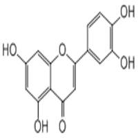木犀草素491-70-3