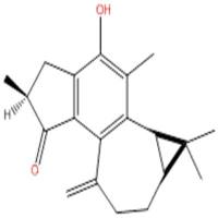 麻枫树酚酮B71386-38-4