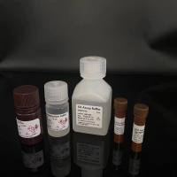 Sorbic acid 山梨酸 标准品