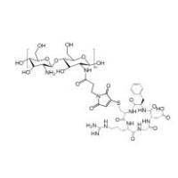 Chitosan-iRGD/cRGD/RGD 肿瘤靶向肽修饰壳聚糖