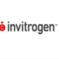 FreeStyle™ MAX试剂