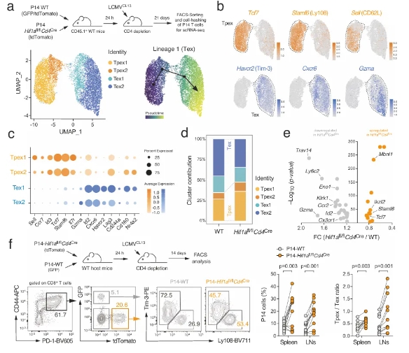 1712539653278928.png 6.png