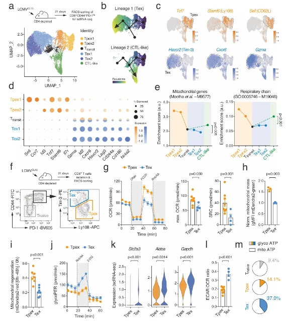 1712539590335079.png 3.png