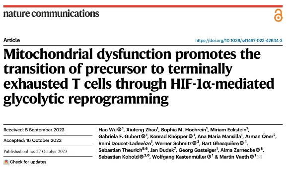 1712539565122687.png 11.png