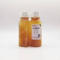 无外泌体胎牛血清