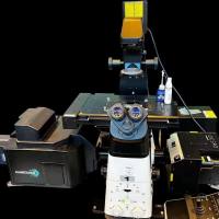 Cicero任意荧光显微镜升级3D共聚焦成像