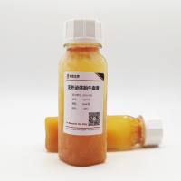 无外泌体-胎牛血清