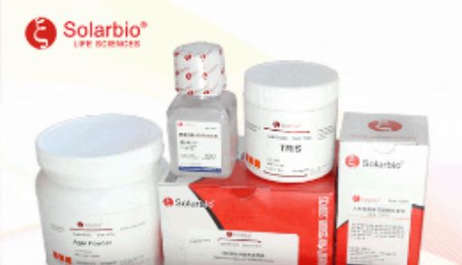 2024CSCB|索莱宝与您共赴榕城，探索细胞