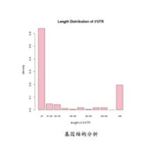 原核转录组