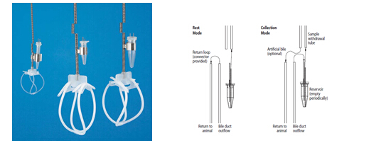 动物固定马甲vascular Access harness
