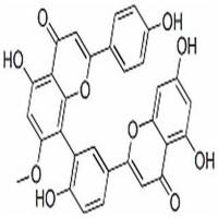 苏铁双黄酮2608-21-1