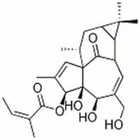 巨大戟醇-3-O-当归酸酯75567-37-2