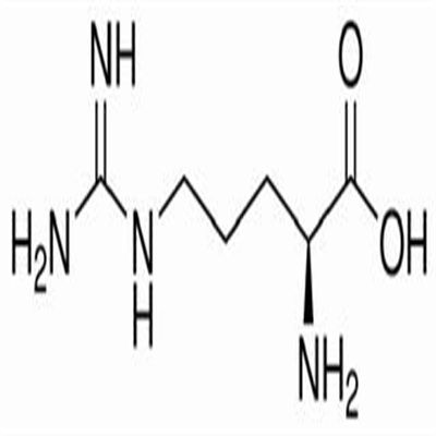 L-精氨酸74-79-3