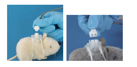 连接器及针头 ports and needles