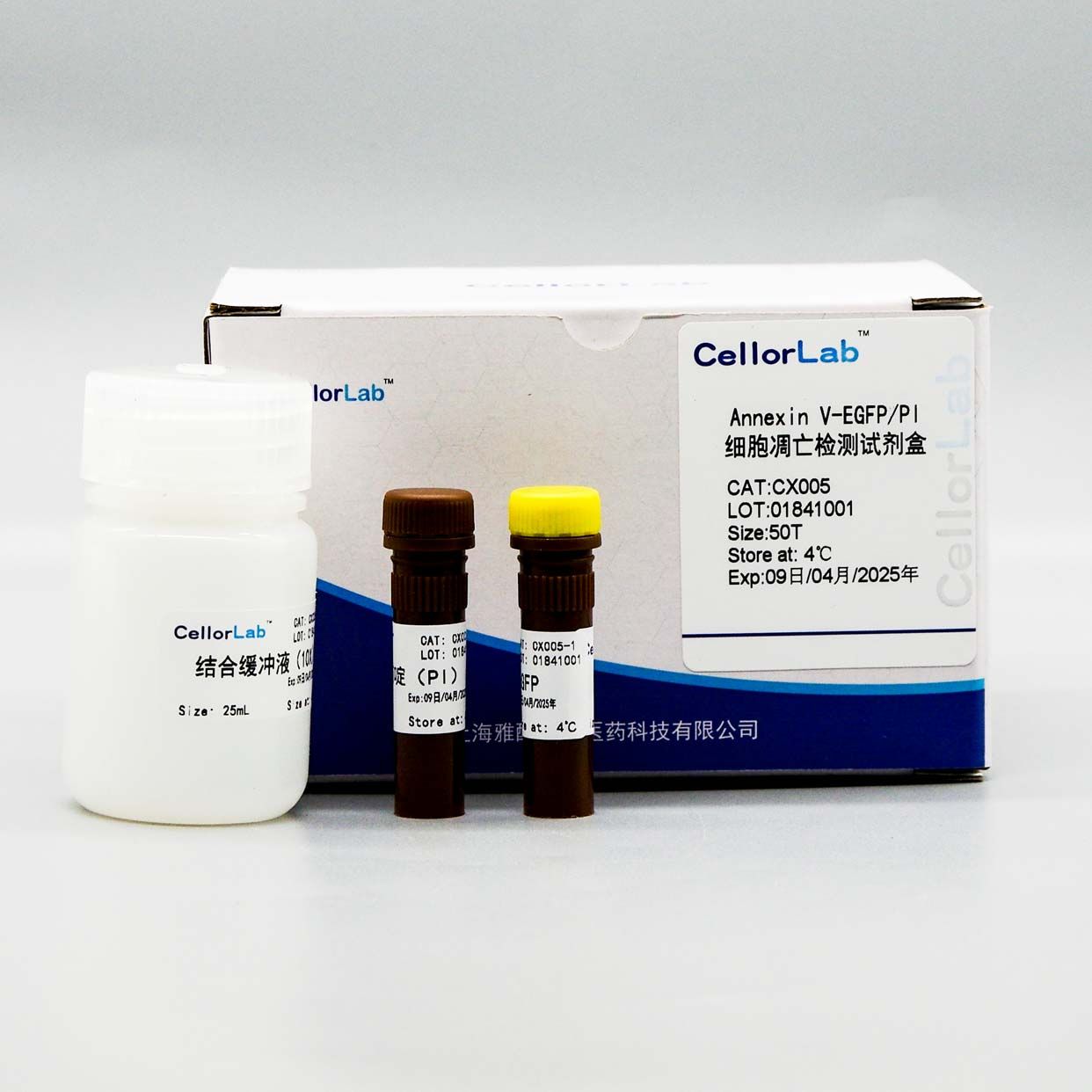 CX005L Annexin V-EGFP/PI凋亡检测试剂盒