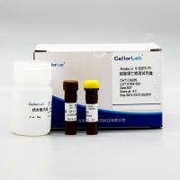 CX005 Annexin V-EGFP/PI凋亡检测试剂盒