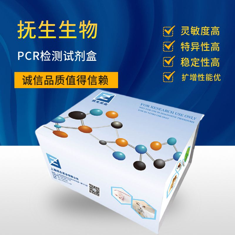 qPCR MasterMix(Probe)  探针法qPCR荧光定量Mix