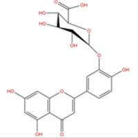 木犀草素-3'-葡萄糖醛酸苷53527-42-7