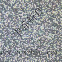 CT26.WT-GFP小鼠结肠癌细胞-绿色标记 