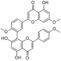 金松双黄酮521-34-6