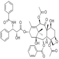 紫杉醇33069-62-4