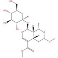 7-O-甲基莫诺苷41679-97-4