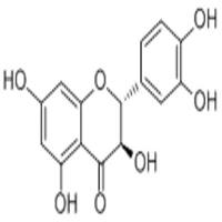 花旗松素480-18-2