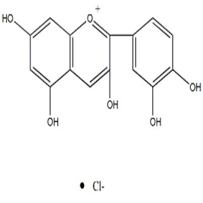 氯化矢车菊素528-58-5