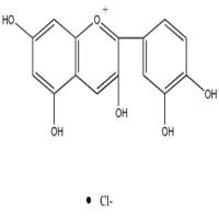 氯化矢车菊素528-58-5