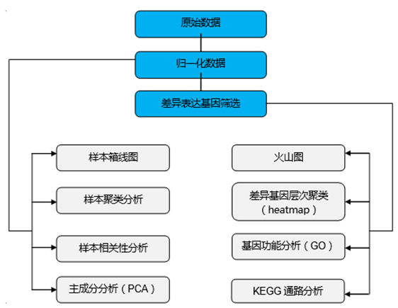 Affymetrix 表达谱芯片分析流程 