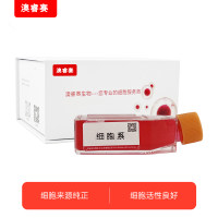 PC-12未分化（大鼠肾上腺嗜铬细胞瘤细胞（未分化））