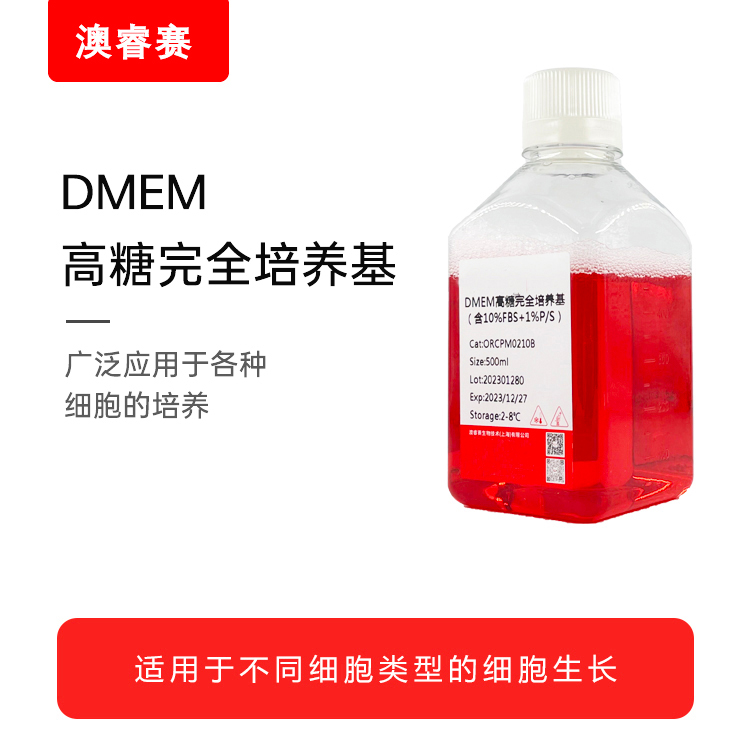 DMEM高糖完全培养基（含10%FBS）