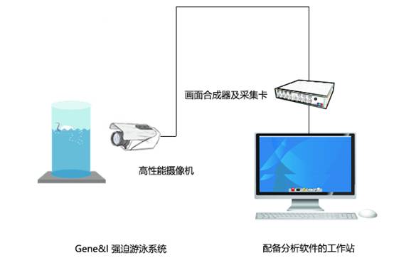 强迫游泳实验视频分析系统
