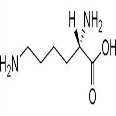 L-赖氨酸56-87-1