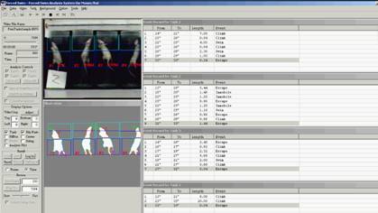 强迫游泳实验视频分析系统