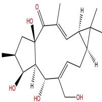 17-羟基异千金二萜醇93551-00-9