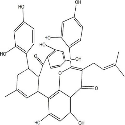 桑黄酮G；桑根酮G75629-19-5