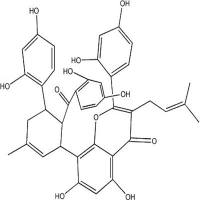 桑黄酮G；桑根酮G75629-19-5