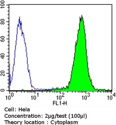 Dynein antibody [74.1]